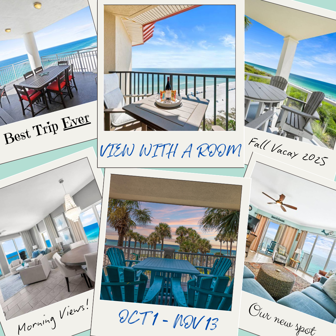 See More While Spending Less - Fall Into Savings - View With A Room